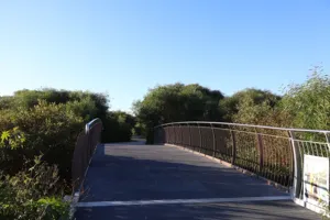 2025-06-21 Bartons Park - IMG_2563_compressed_q50.webp